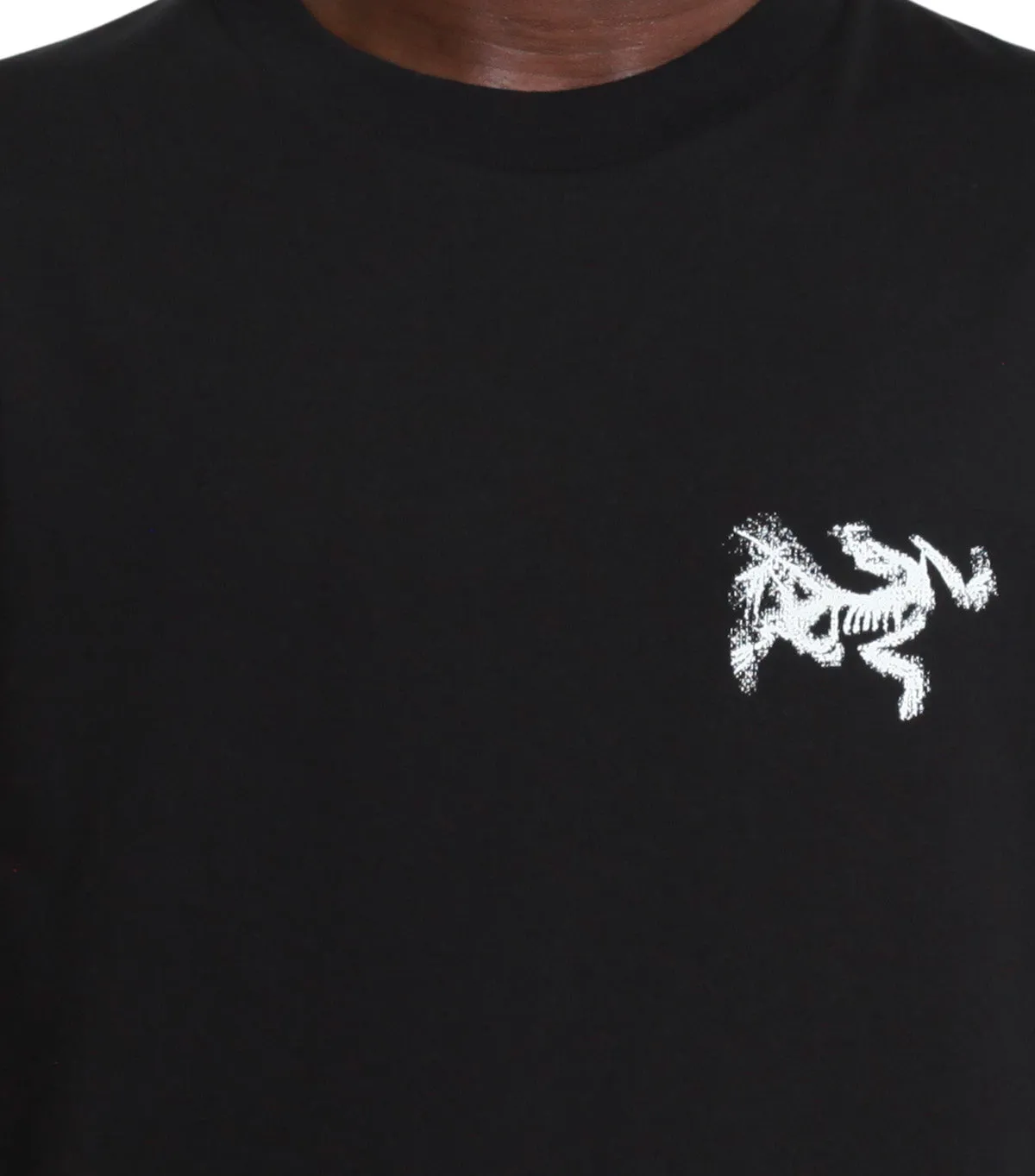Arc'teryx Kragg Sl Cotton Bird Tile Long Sleeve Black