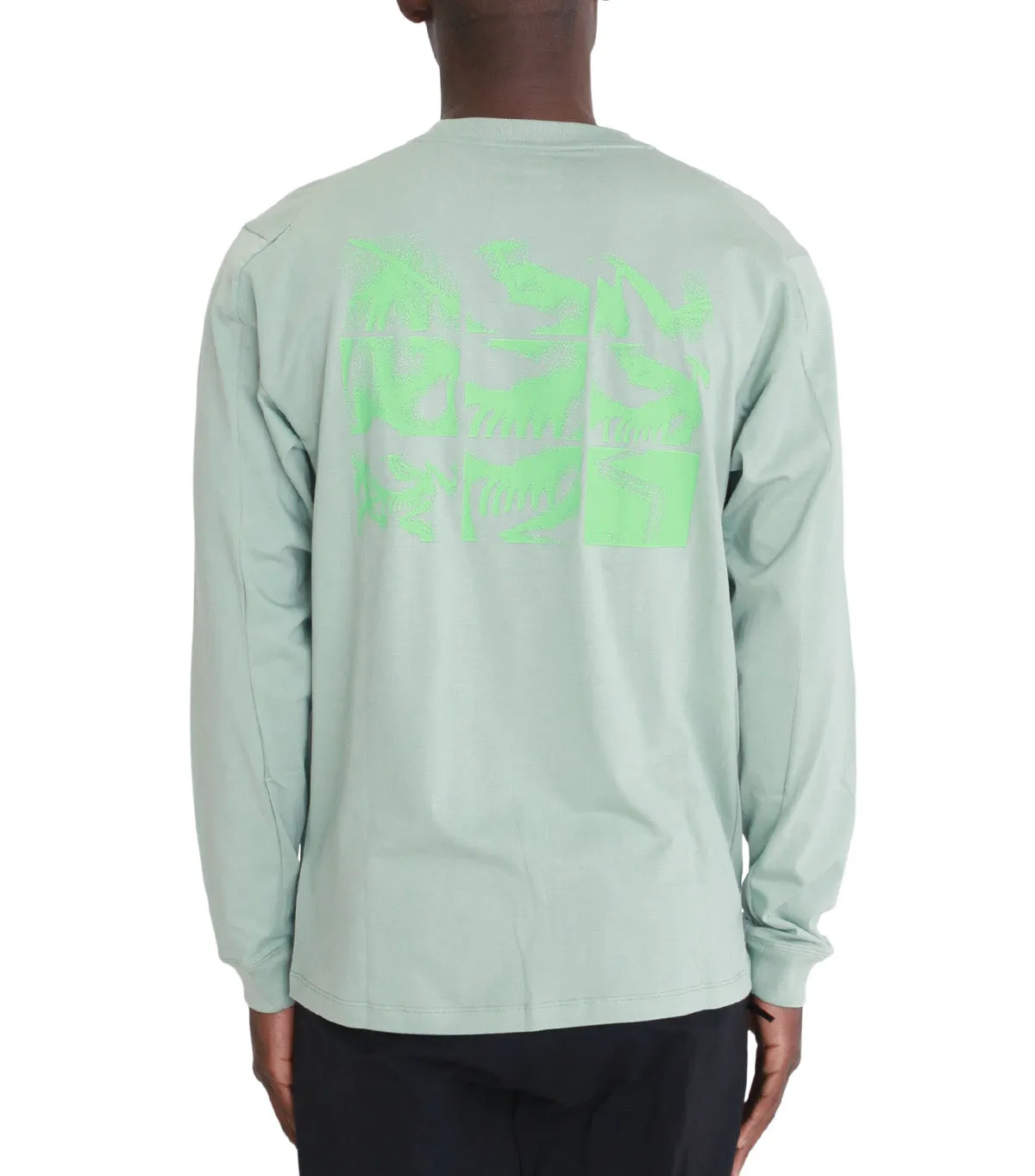 Arc'teryx Kragg Sl Cotton Bird Tile Long Sleeve Stone Green