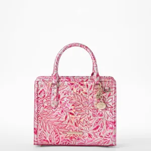 Sacs Cami Sacoches Brahmin