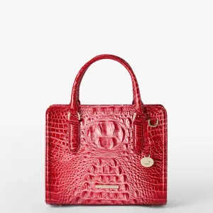 Sacs Cami Sacoches Brahmin