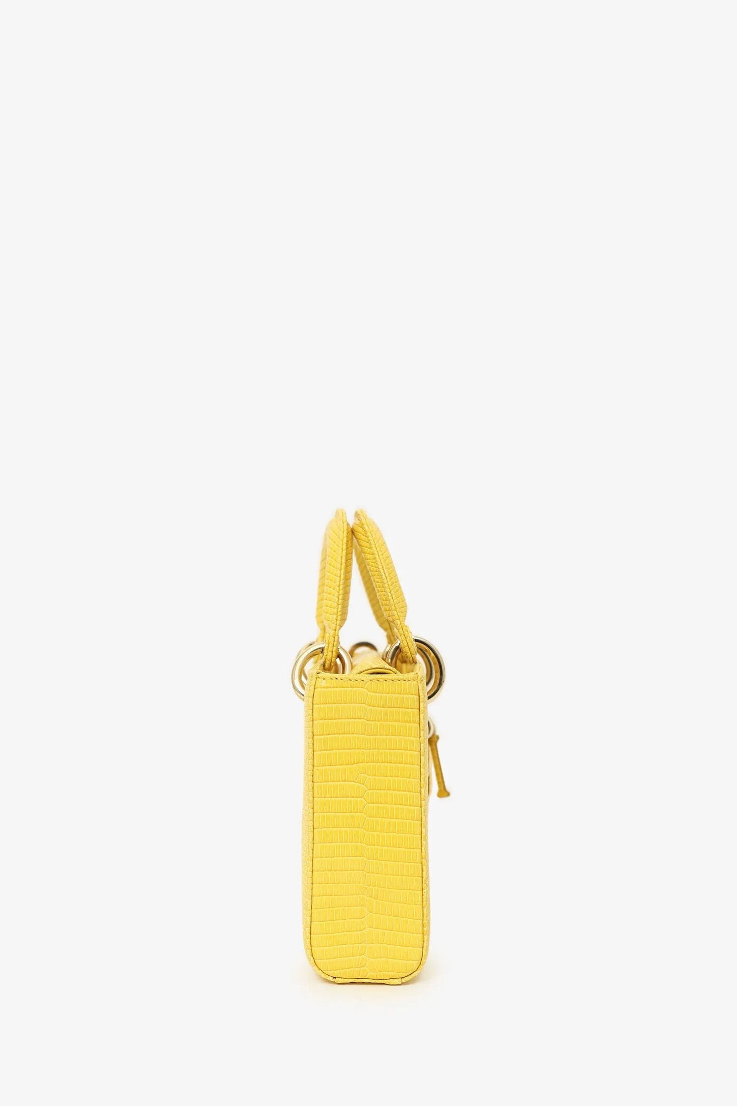 Christian Dior 2016 Lizard Leather Medium D-Joy Bag with Strap