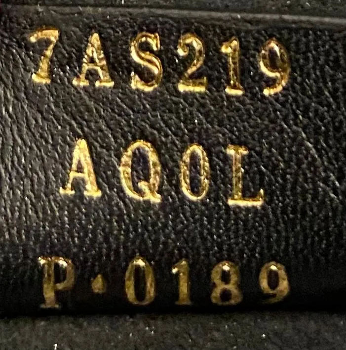 Fendi C'mon Nano Leather Bag
