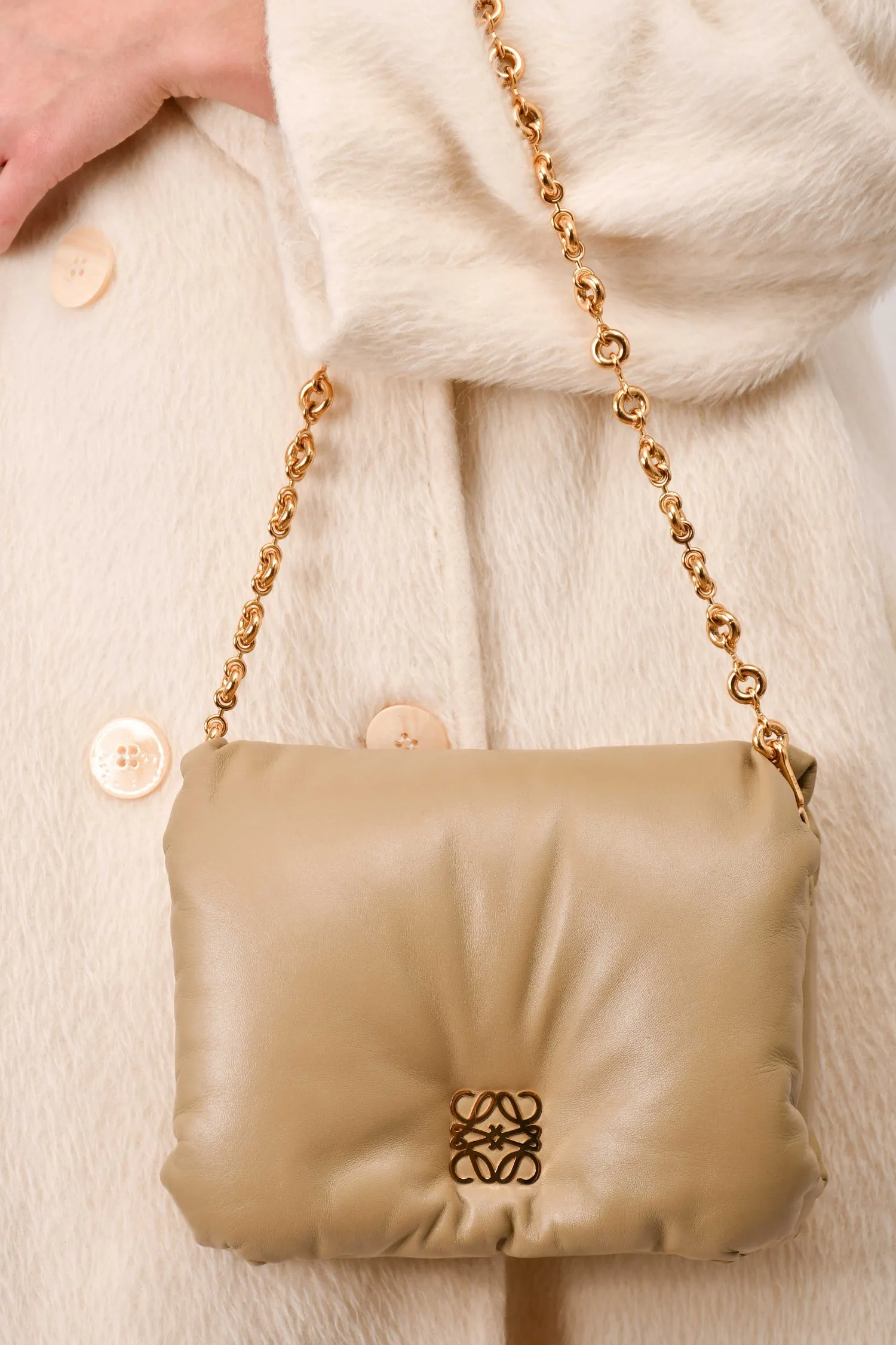 Loewe 2022 Sage Green Leather Goya Chain Shoulder Bag handbags bulk sale