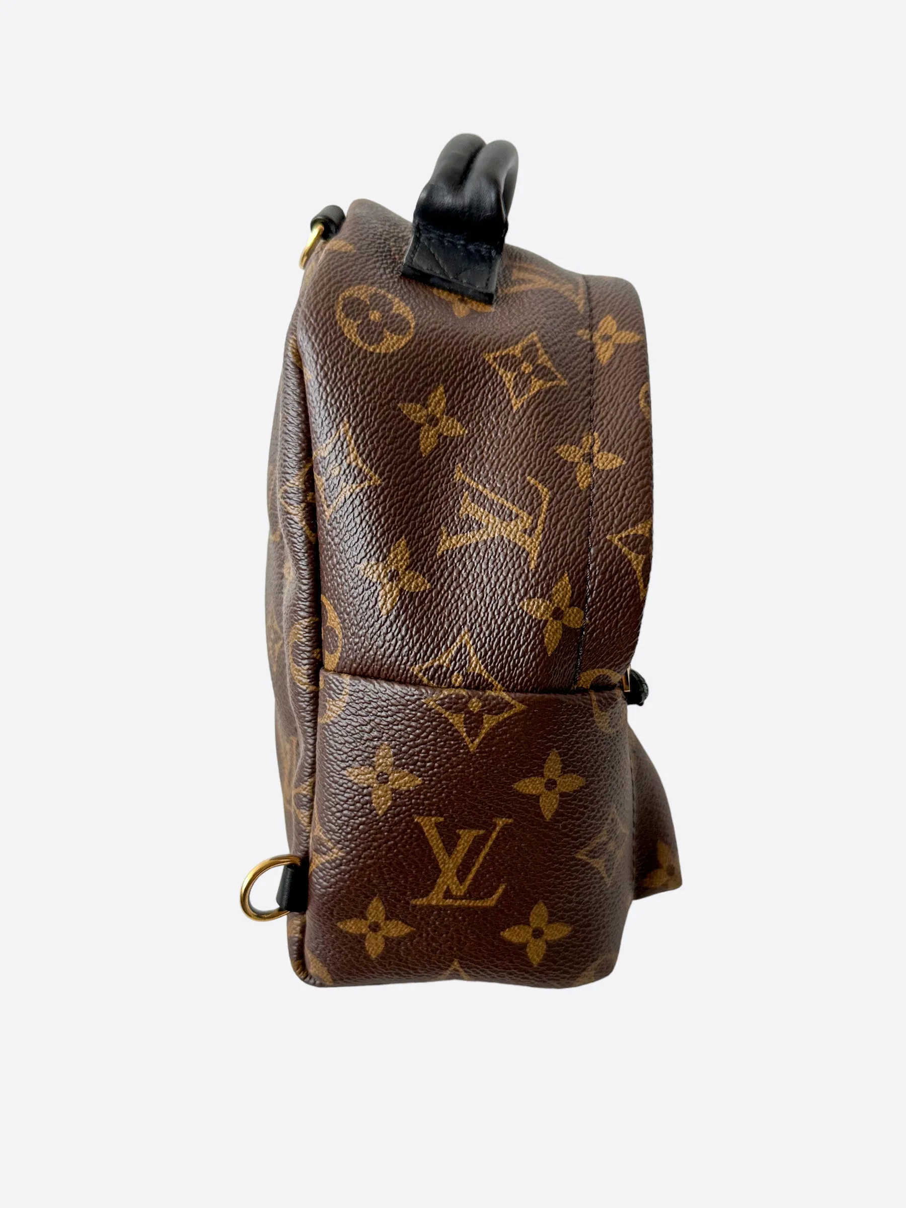 Louis Vuitton Brown Monogram Palm Springs Mini Backpack