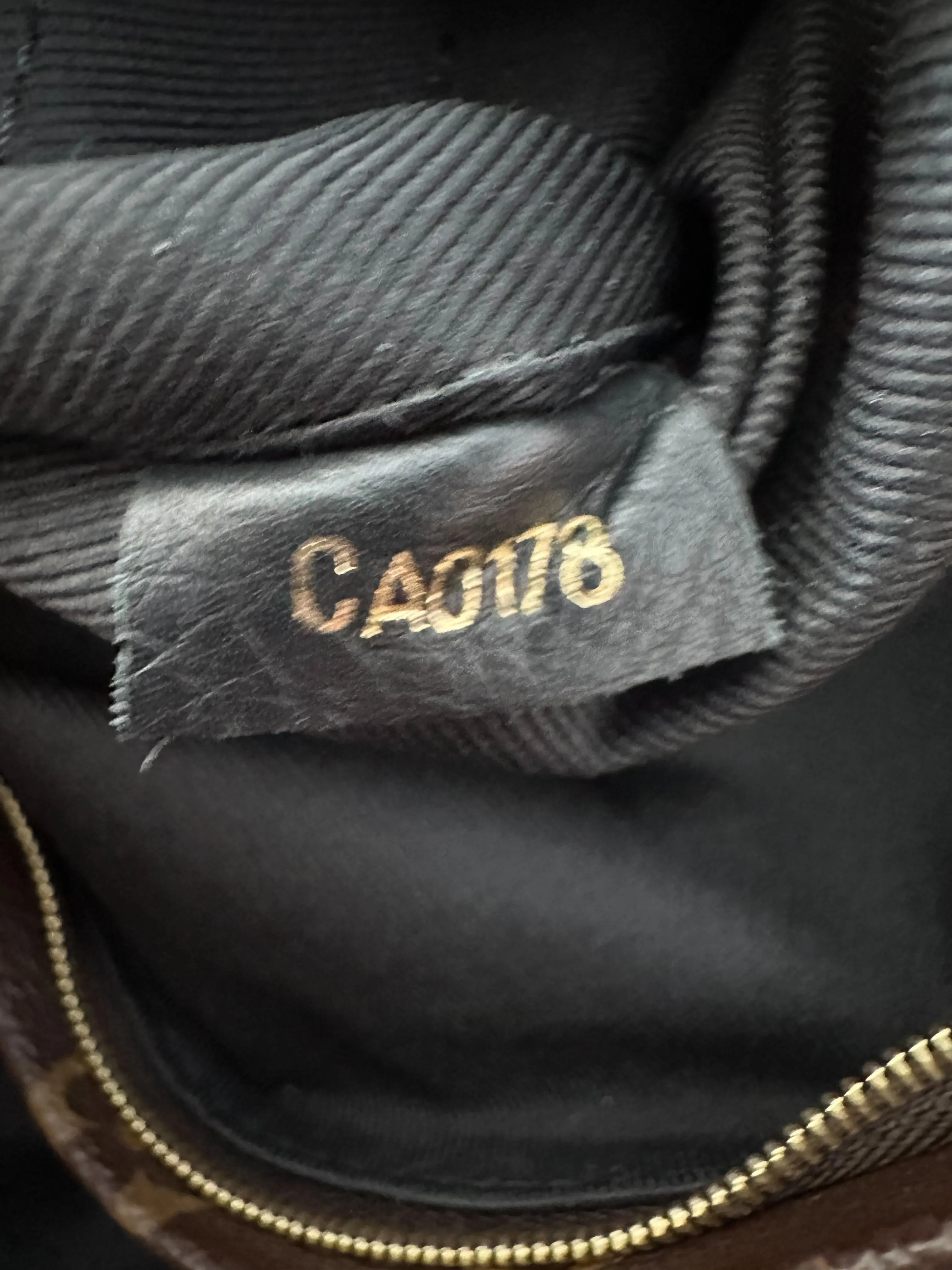 Louis Vuitton Brown Monogram Palm Springs Mini Backpack