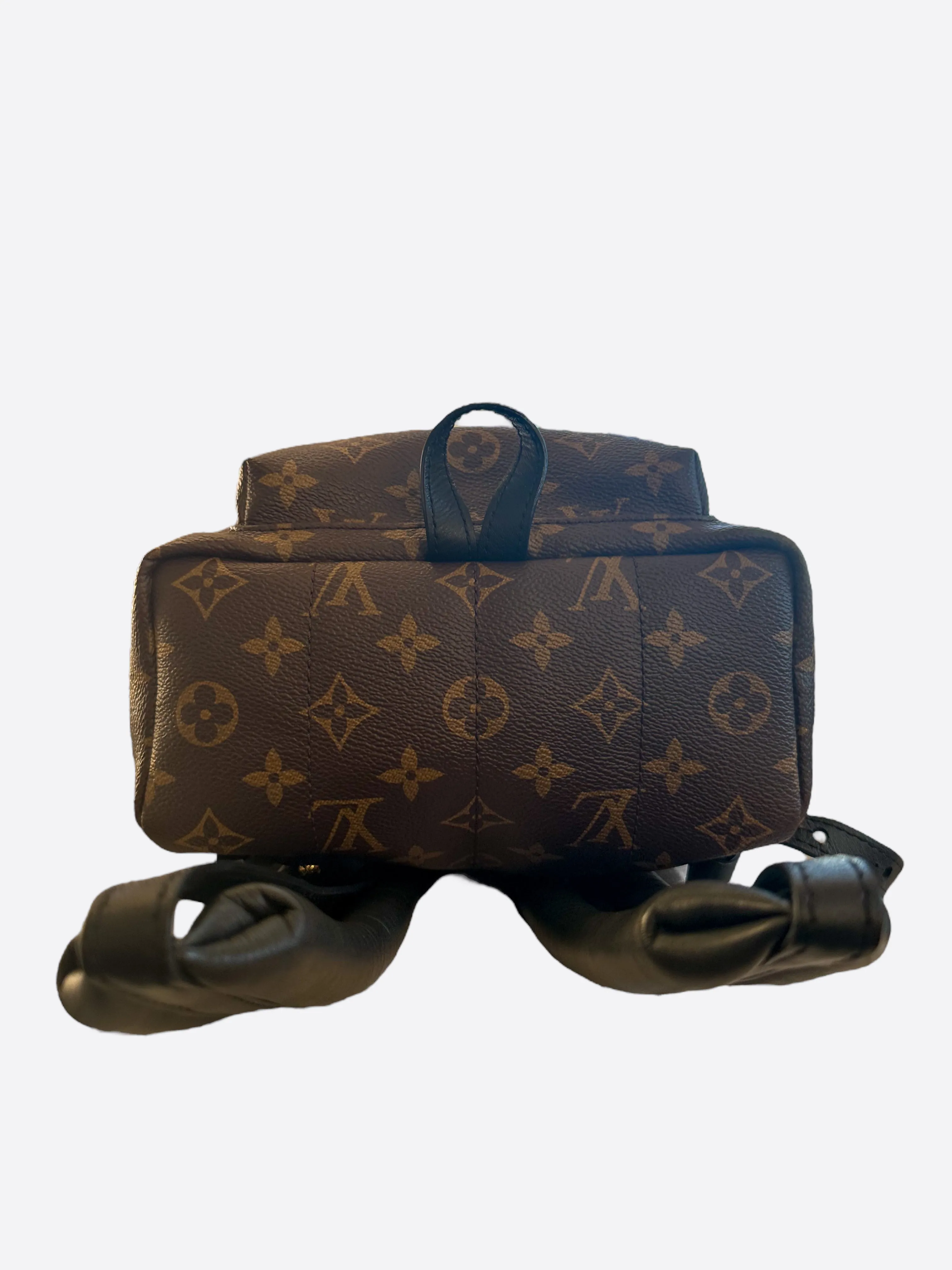 Louis Vuitton Brown Monogram Palm Springs Mini Backpack