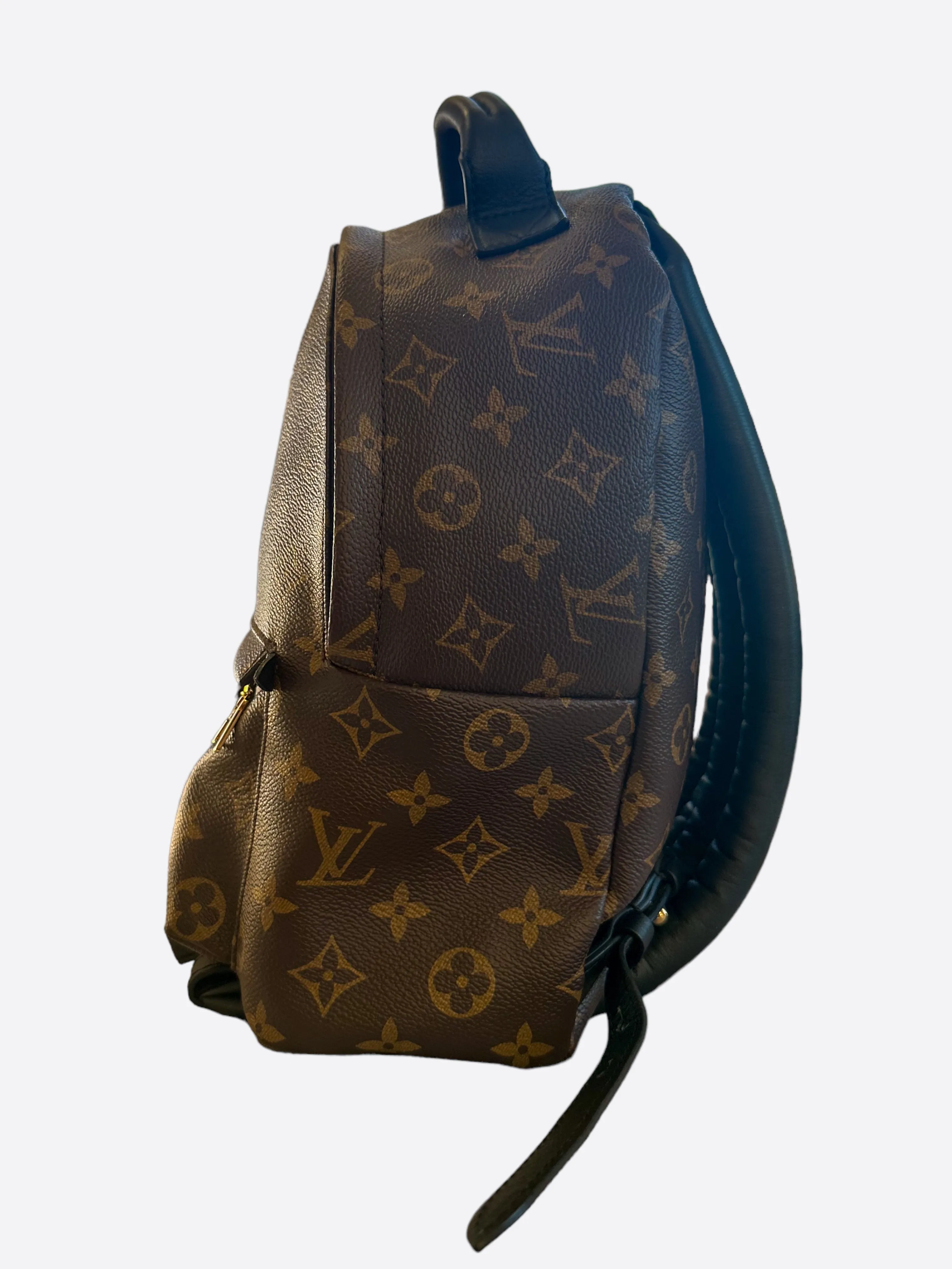 Louis Vuitton Brown Monogram Palm Springs Mini Backpack