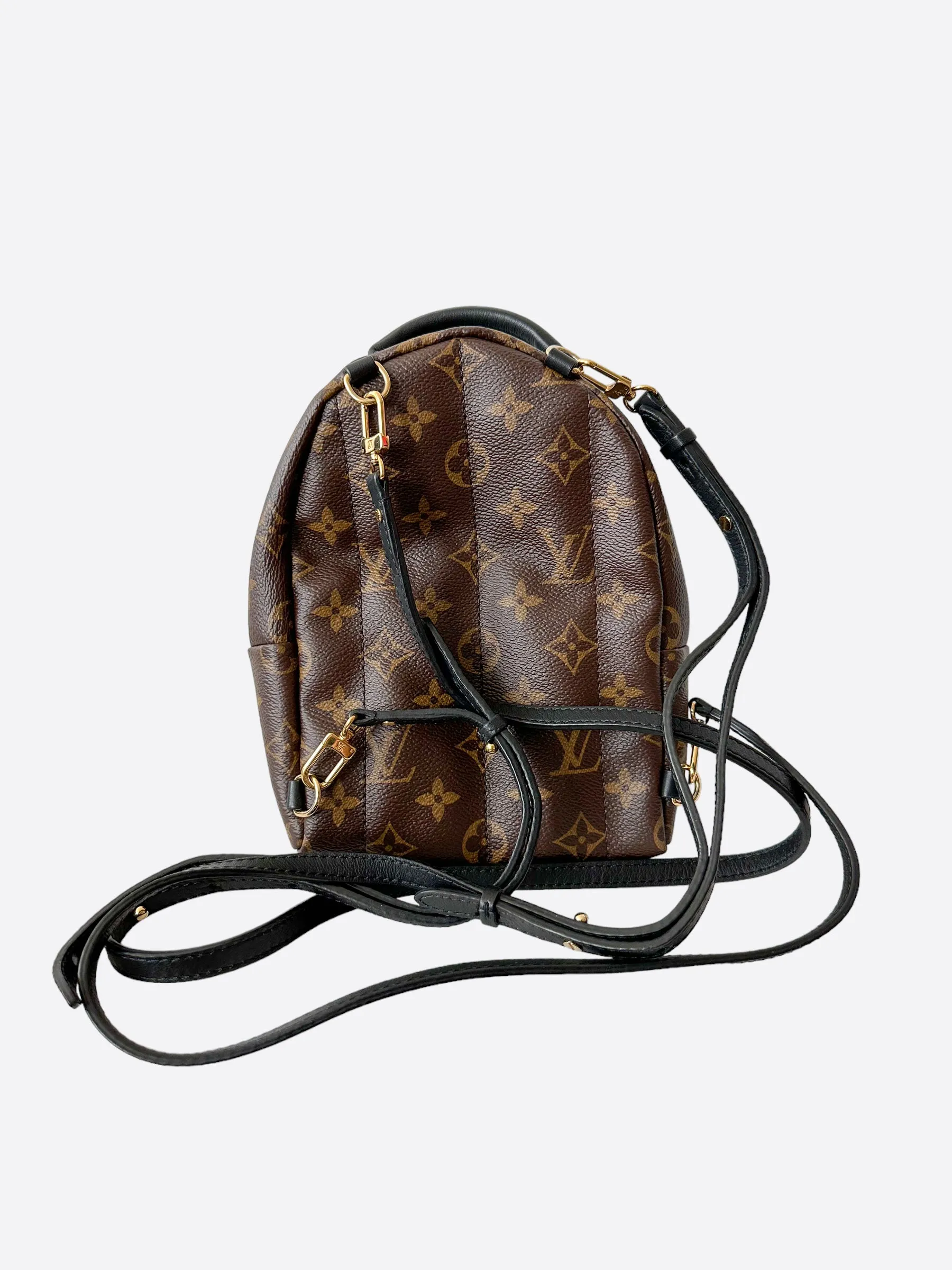 Louis Vuitton Brown Monogram Palm Springs Mini Backpack
