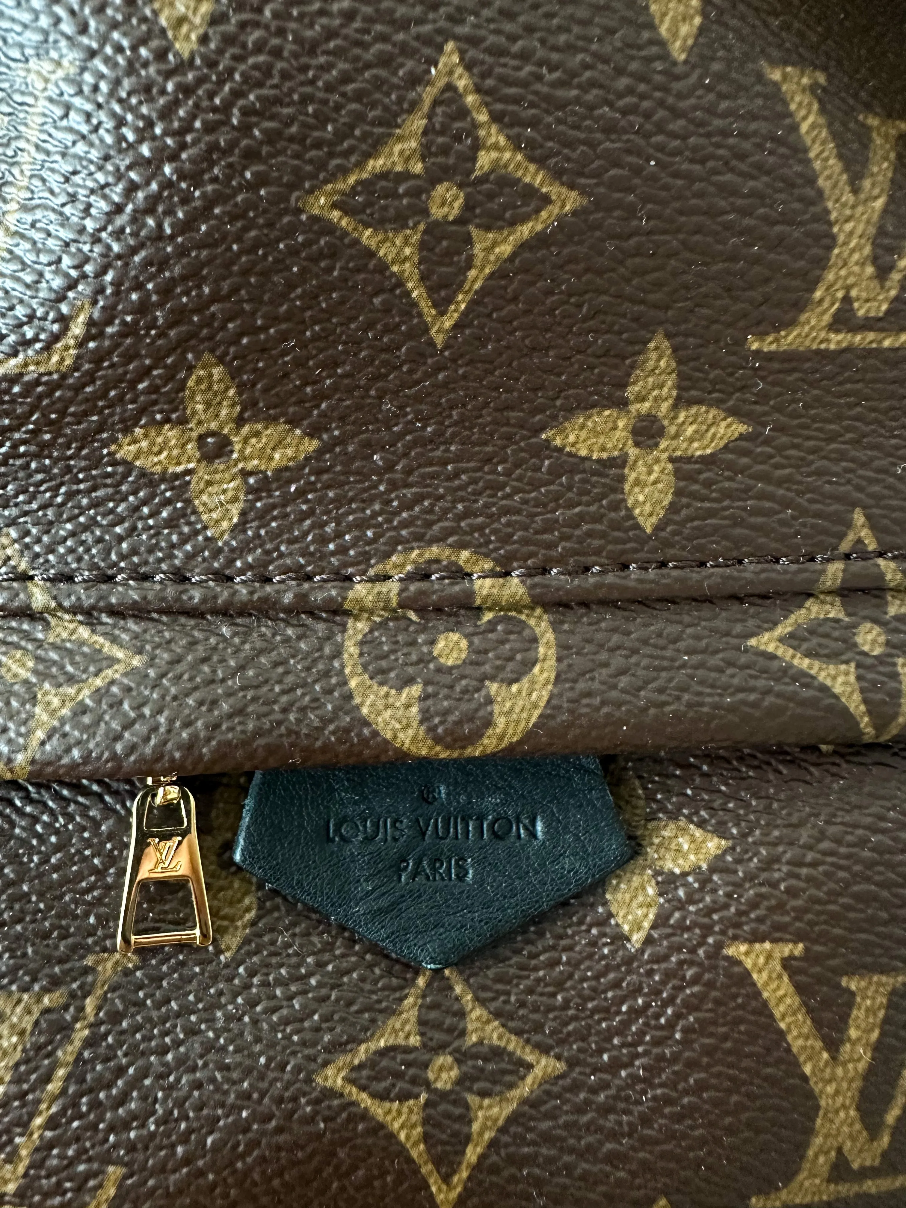 Louis Vuitton Brown Monogram Palm Springs Mini Backpack