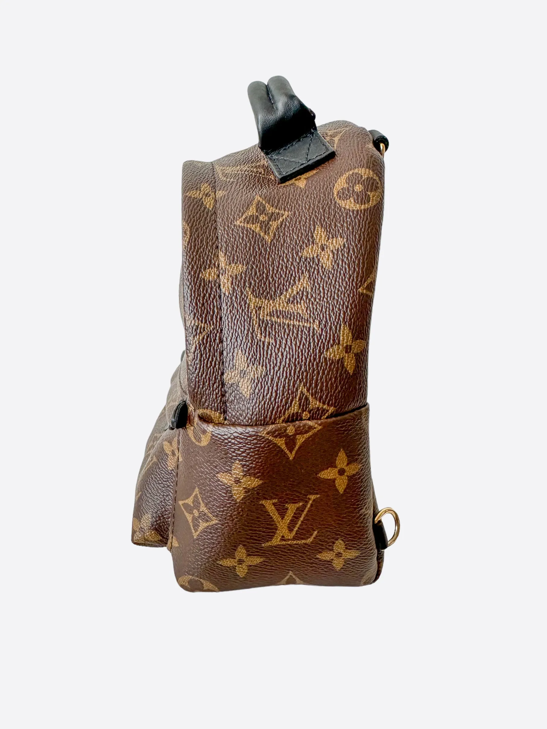 Louis Vuitton Brown Monogram Palm Springs Mini Backpack