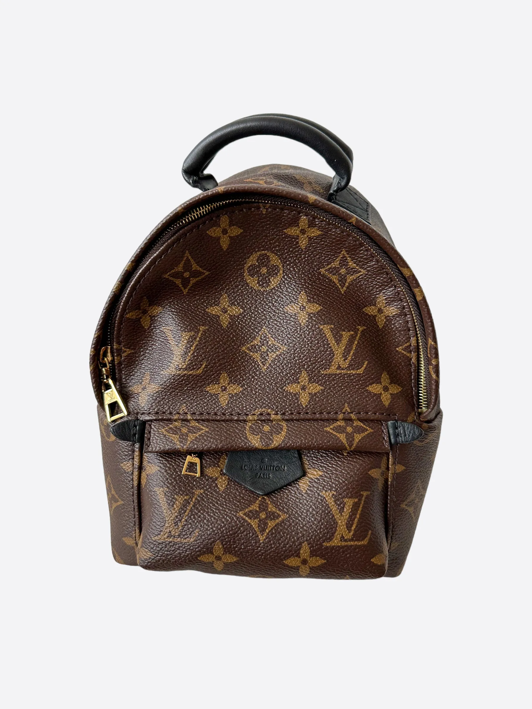 Louis Vuitton Brown Monogram Palm Springs Mini Backpack