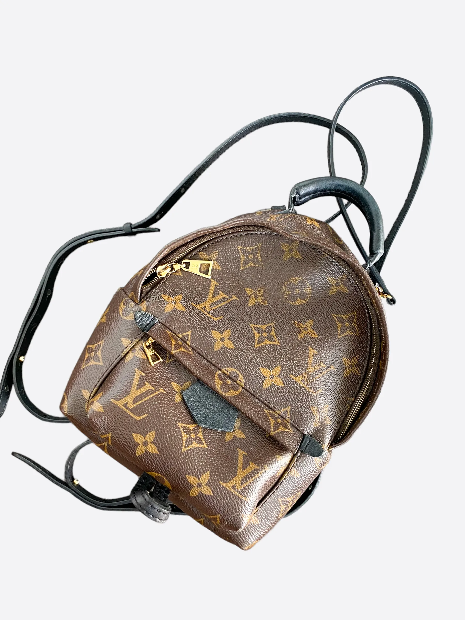 Louis Vuitton Palm Springs Mini Backpack