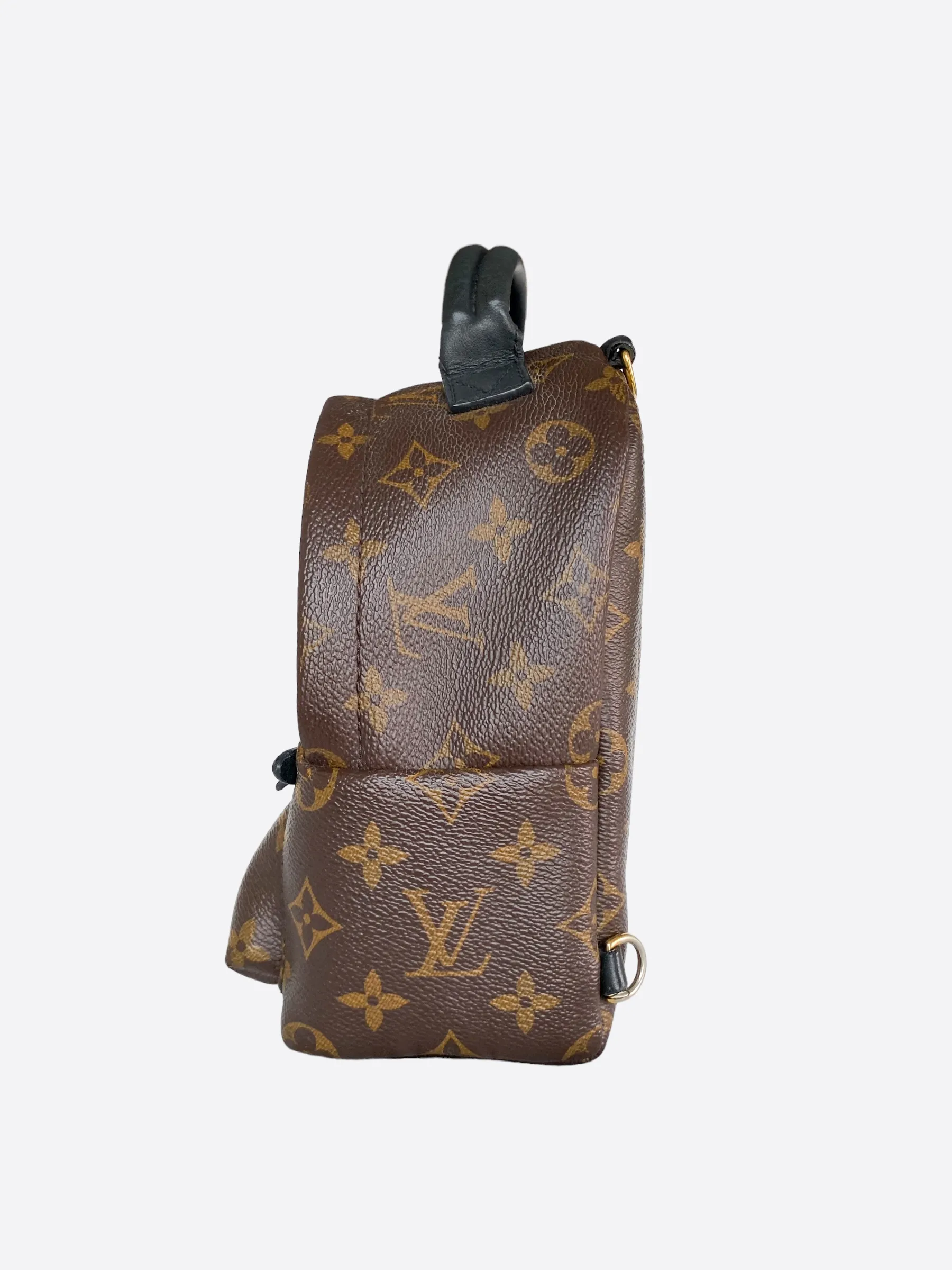 Louis Vuitton Palm Springs Mini Backpack