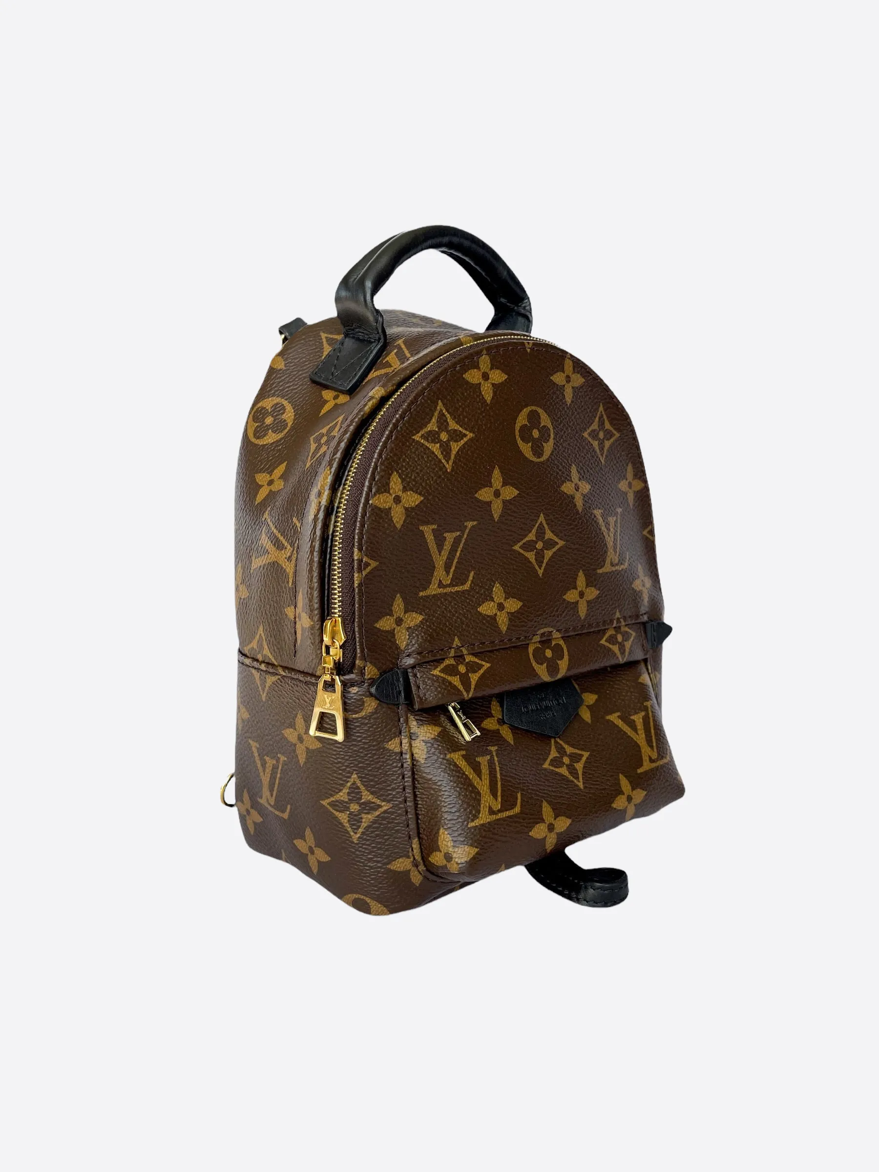 Louis Vuitton Palm Springs Mini Backpack