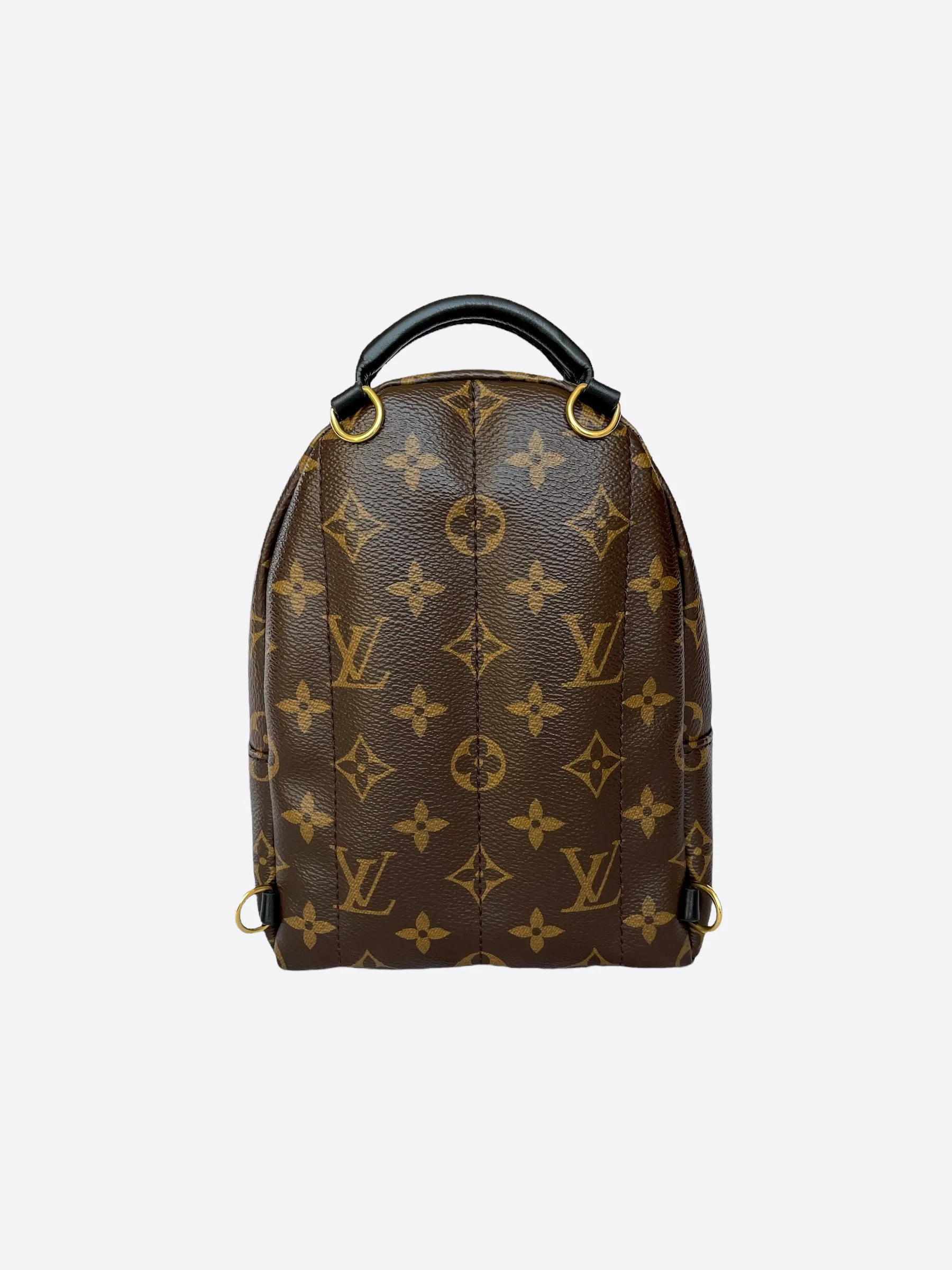 Louis Vuitton Palm Springs Mini Backpack