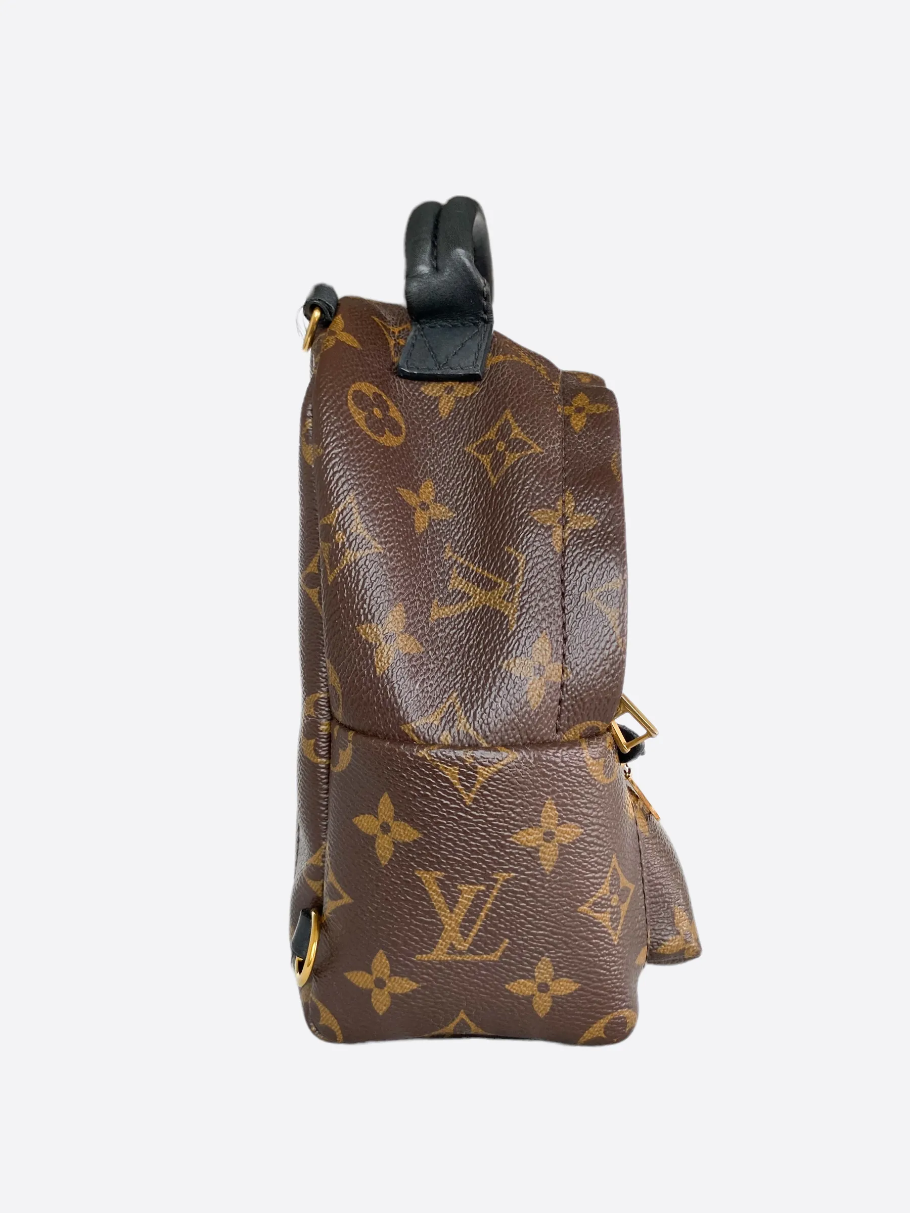 Louis Vuitton Palm Springs Mini Backpack