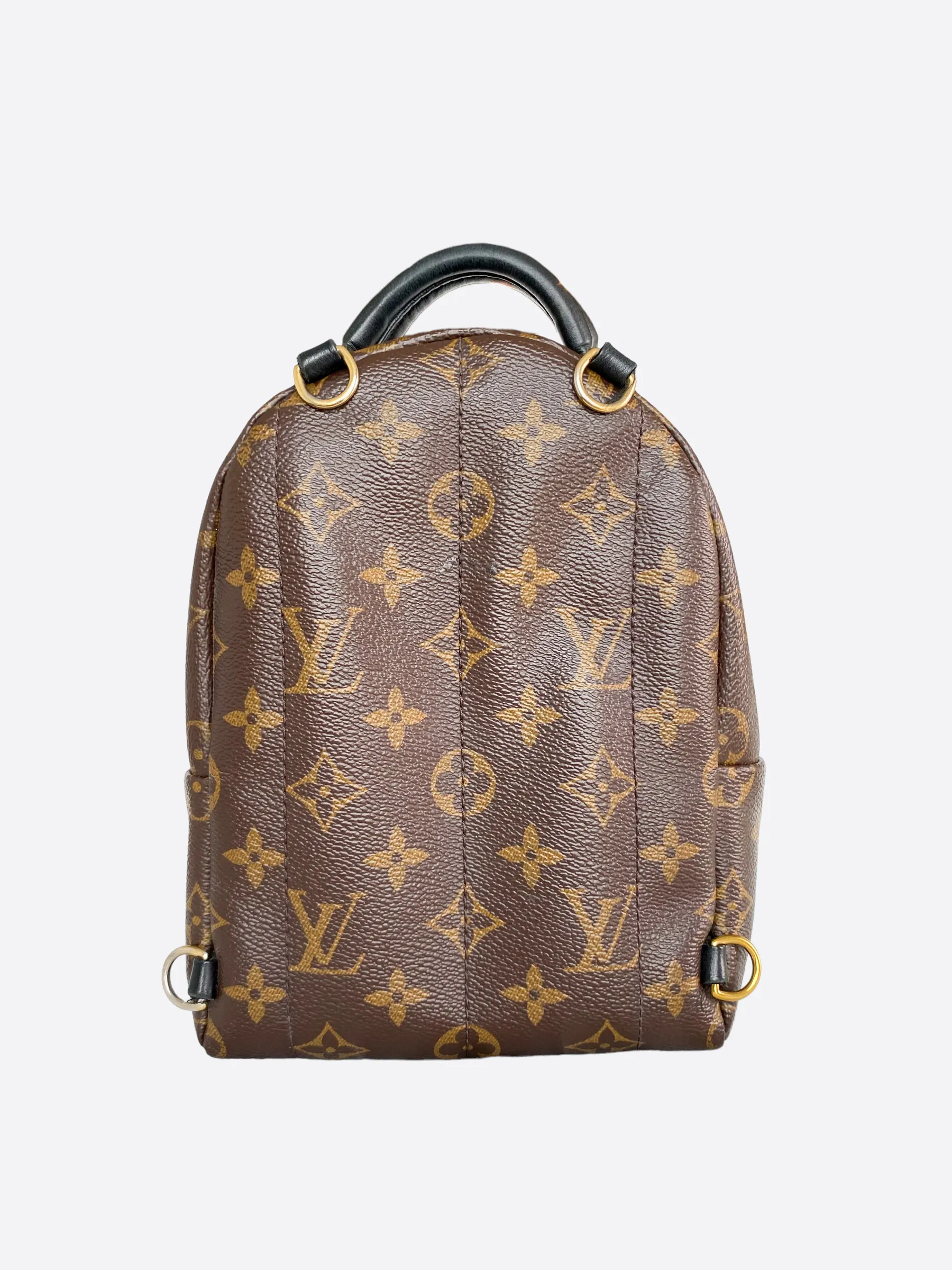 Louis Vuitton Palm Springs Mini Backpack