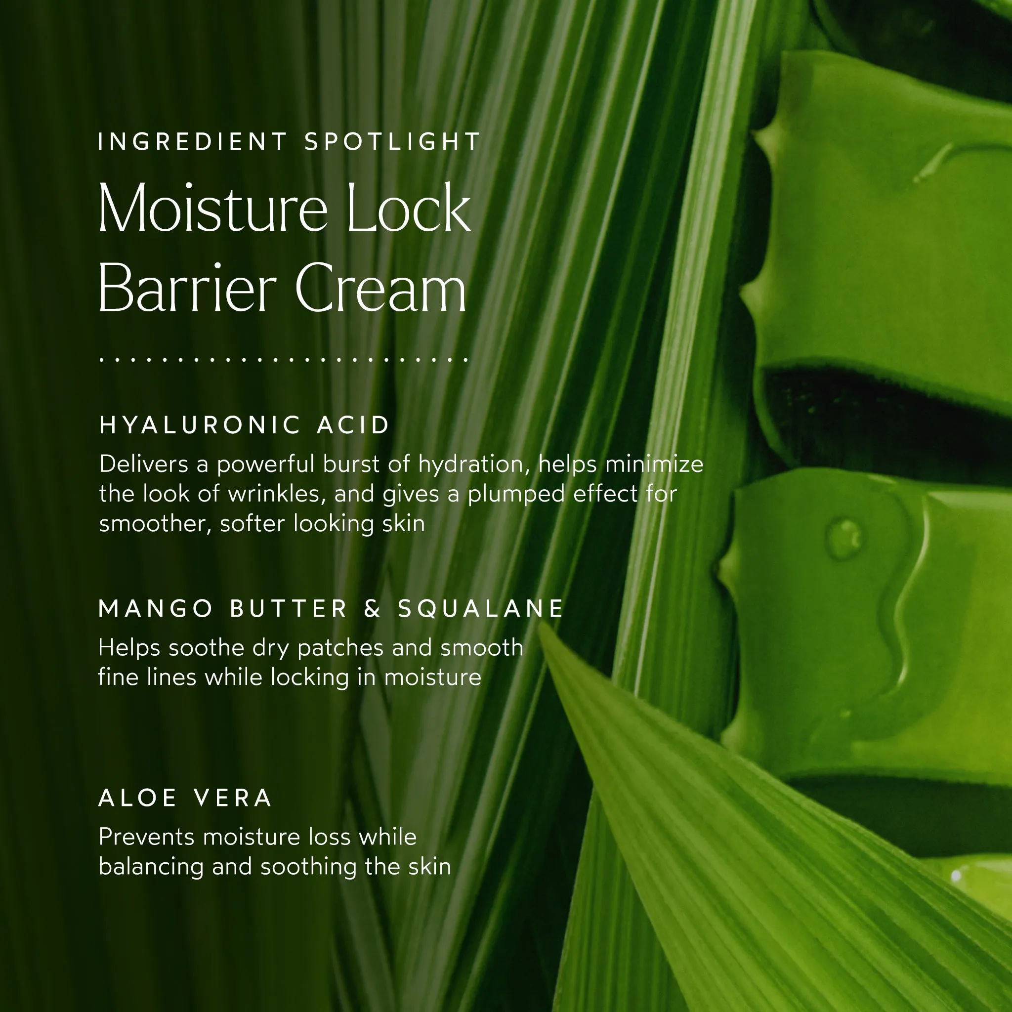 a tinted moisturizer,bubble moisturizer