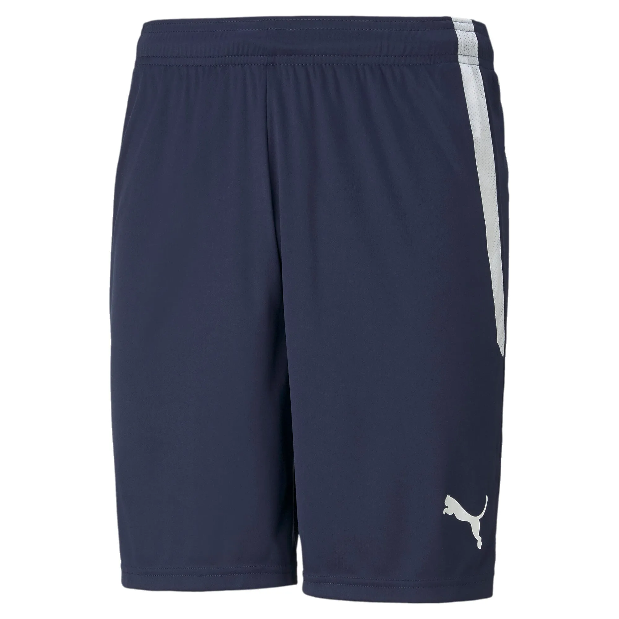 PUMA Men's teamLIGA Soccer Shorts