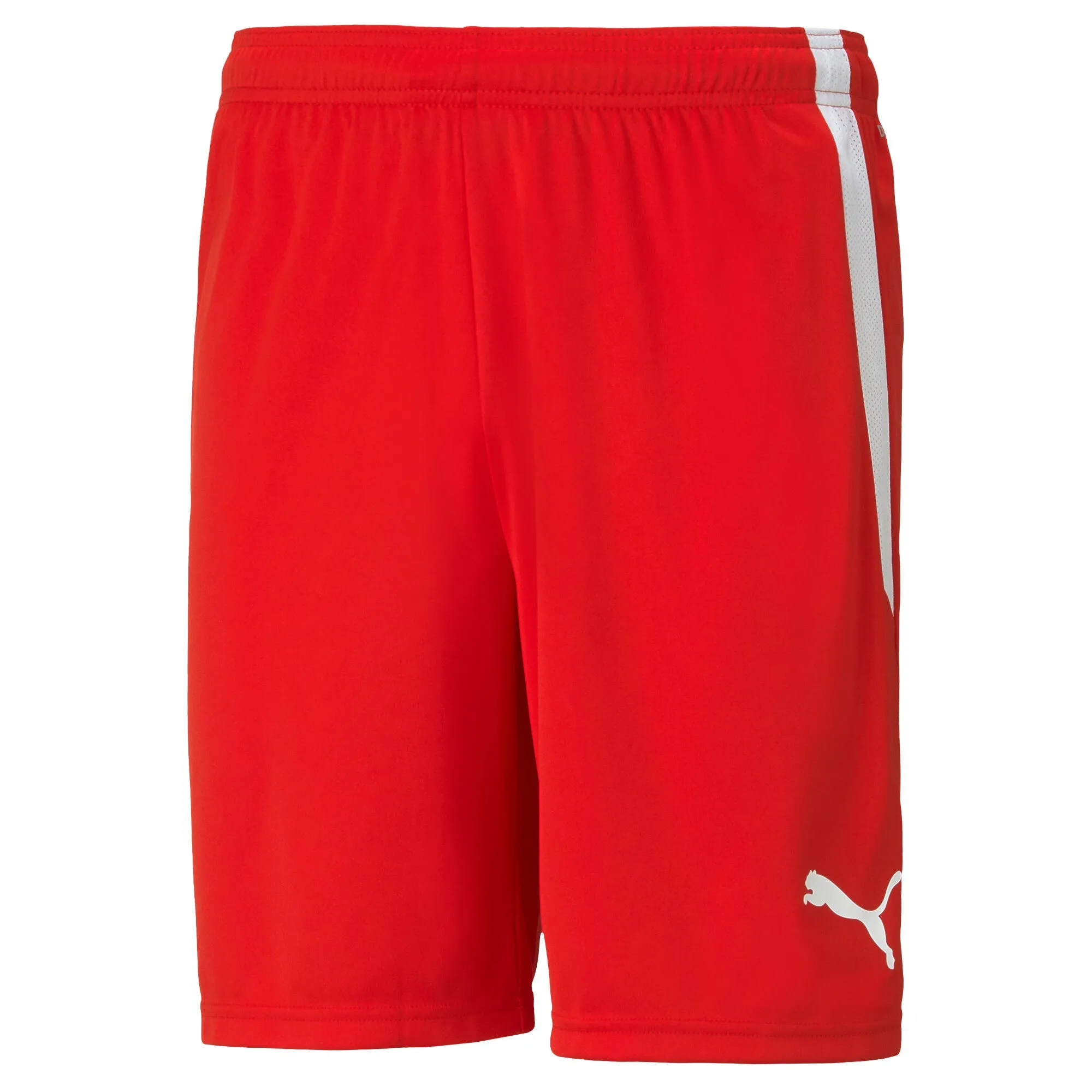 PUMA Men's teamLIGA Soccer Shorts