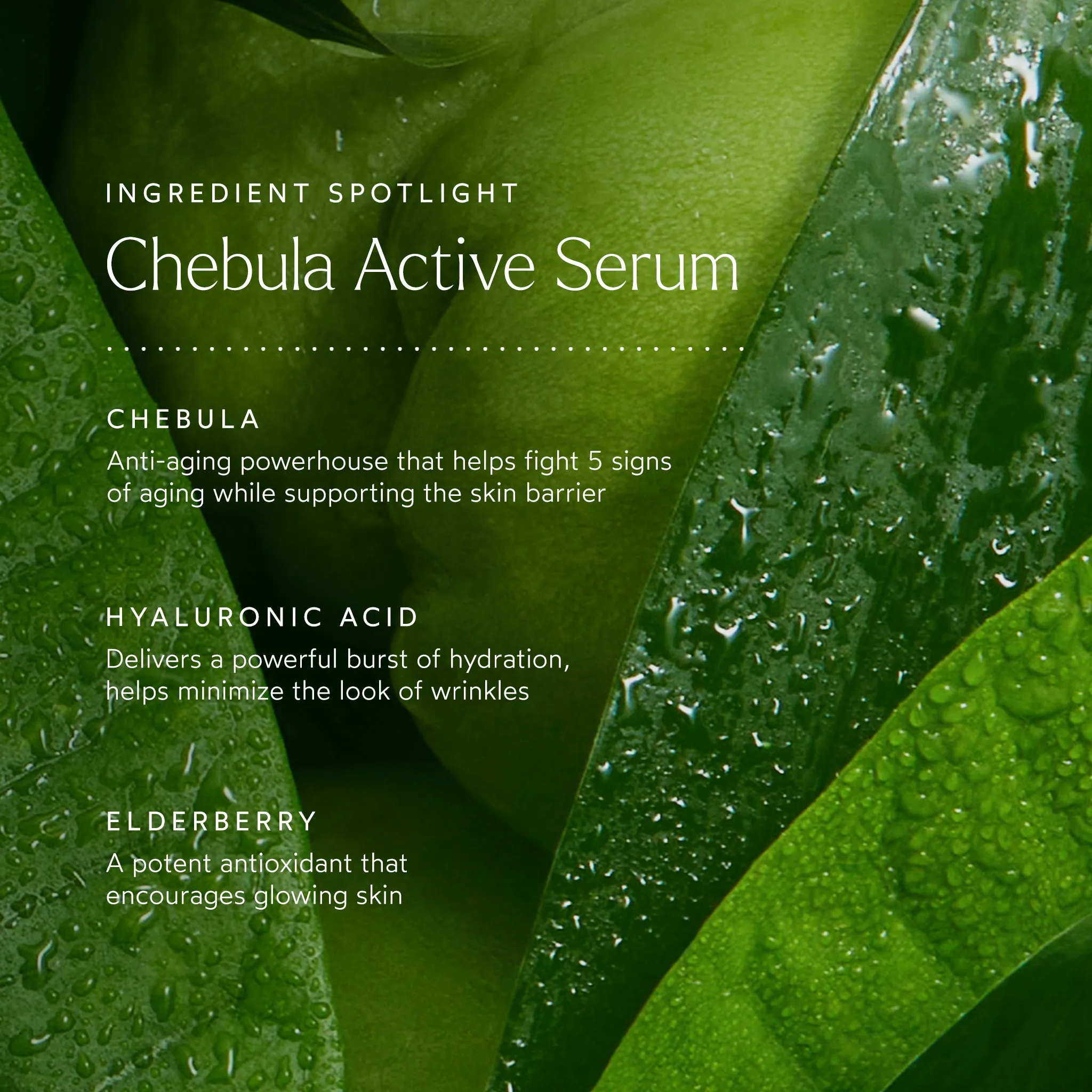 a tinted moisturizer,bubble moisturizer