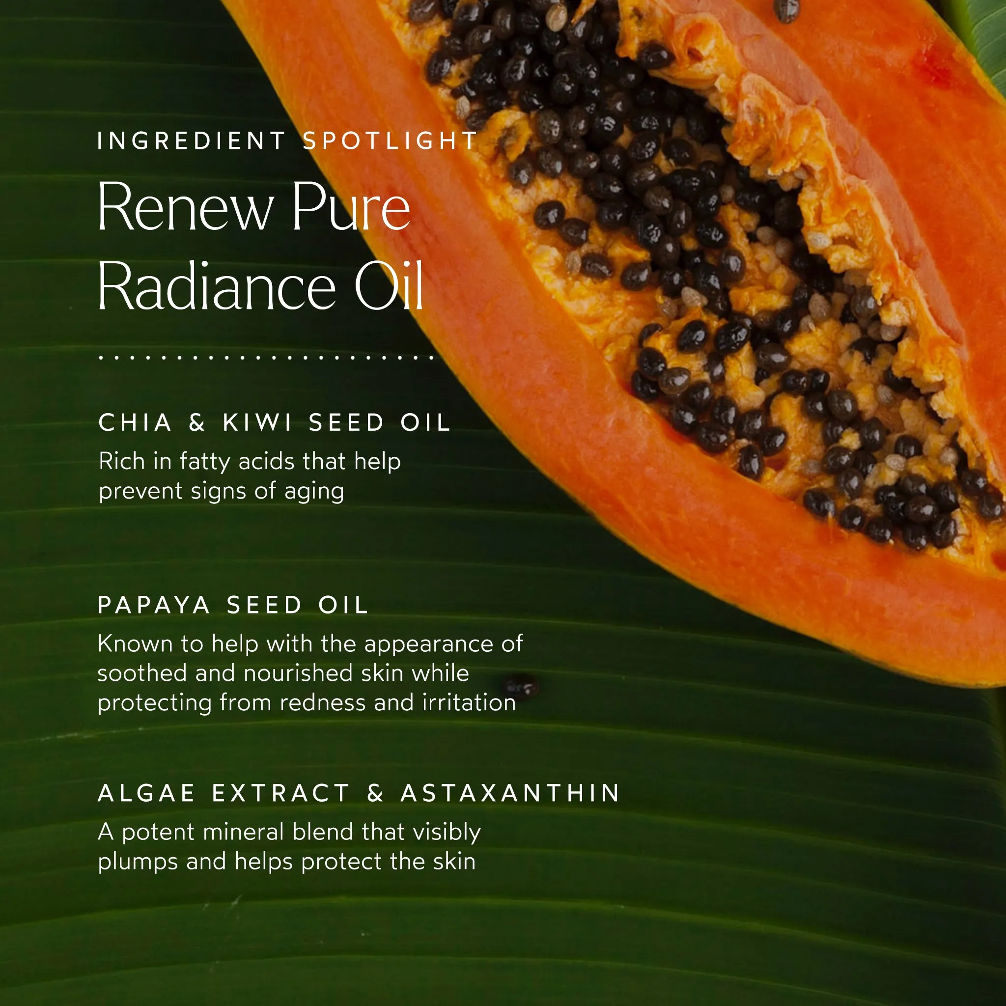 a tinted moisturizer,bubble moisturizer