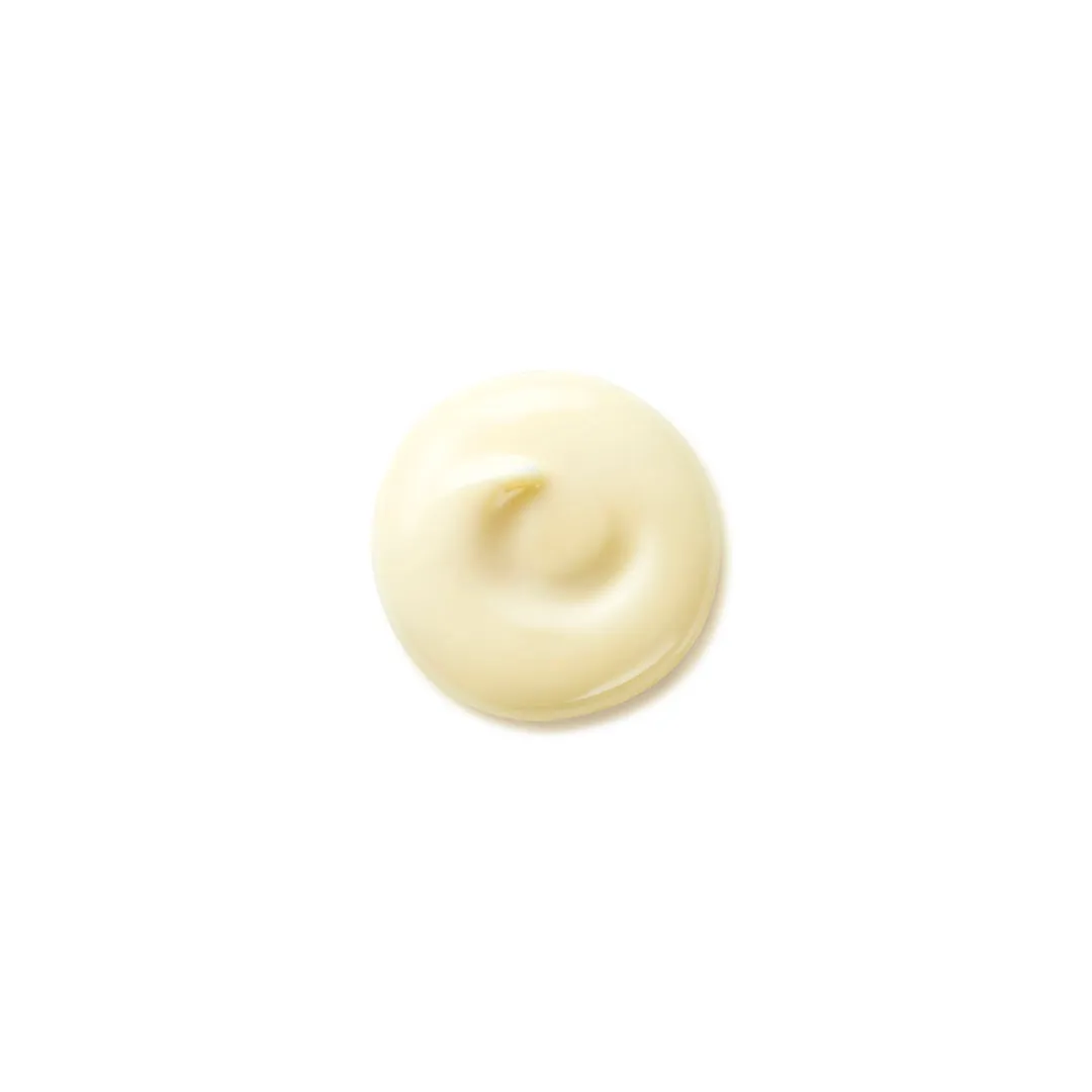 Shiseido Benefiance Wrinkle Smoothing Day Cream