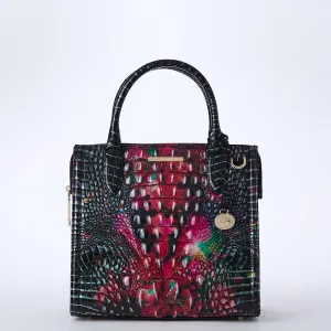 Petits sacs Caroline Brahmin Satchels