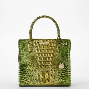 Petits sacs Caroline Brahmin Satchels