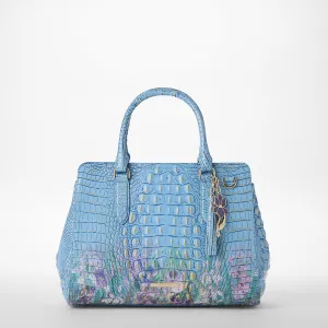 Petits sacs Finley Totes Brahmin Fourre-tout